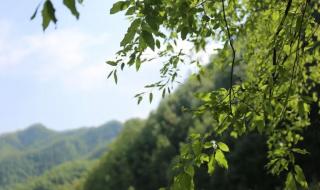 五一襄阳周边有哪些好去处 五一自驾游好去处